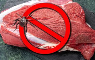 In image representing Alpha-Gal and new emerging Food Allergy spread by ticks